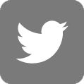 twitter icon greyscale
